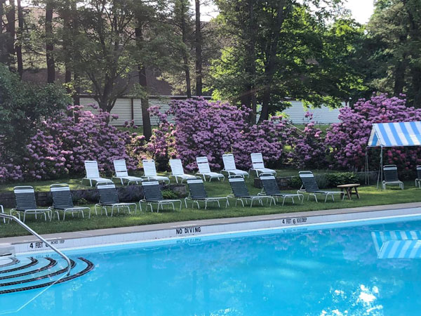 Swimming Pool and Lounge