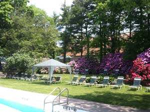 Swimming Pool and Lounge